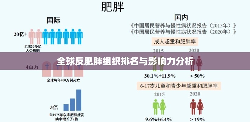 全球反肥胖组织排名与影响力分析