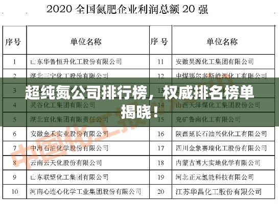 超纯氮公司排行榜，权威排名榜单揭晓！