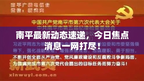 南平最新动态速递，今日焦点消息一网打尽！