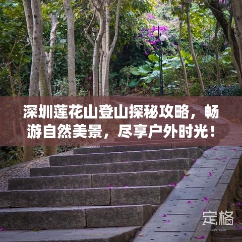 深圳莲花山登山探秘攻略，畅游自然美景，尽享户外时光！