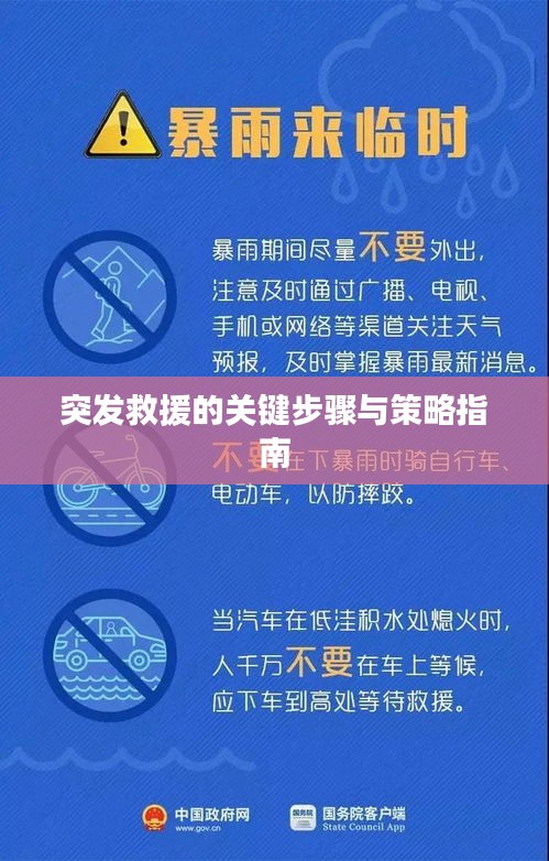 突发救援的关键步骤与策略指南