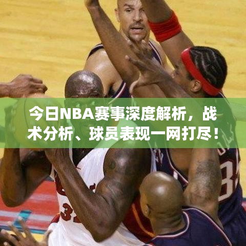 今日NBA赛事深度解析，战术分析、球员表现一网打尽！