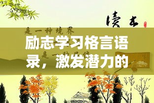 励志学习格言语录，激发潜力的名言摘抄