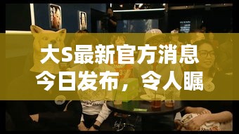 大S最新官方消息今日发布，令人瞩目的最新动态报告