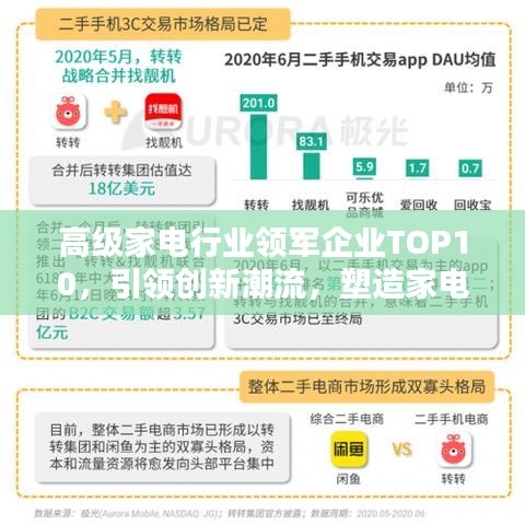 高级家电行业领军企业TOP10，引领创新潮流，塑造家电未来