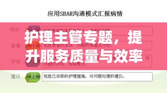 护理主管专题，提升服务质量与效率的核心要素解析