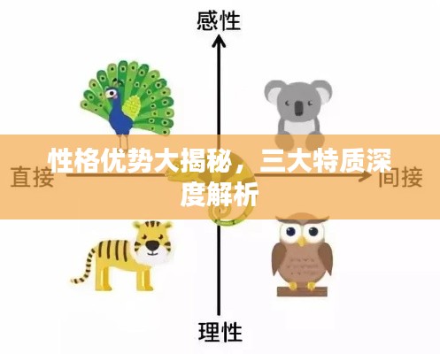 性格优势大揭秘，三大特质深度解析