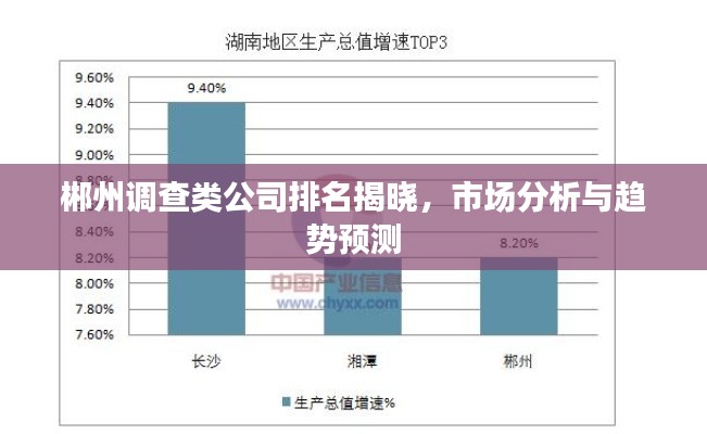 郴州调查类公司排名揭晓，市场分析与趋势预测