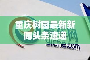 重庆树园最新新闻头条速递