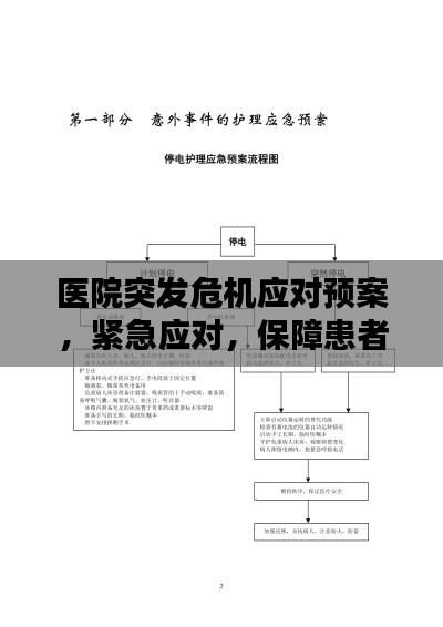 医院突发危机应对预案，紧急应对，保障患者安全