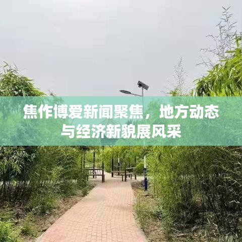 焦作博爱新闻聚焦，地方动态与经济新貌展风采