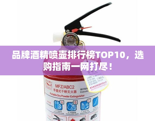 品牌酒精喷壶排行榜TOP10，选购指南一网打尽！