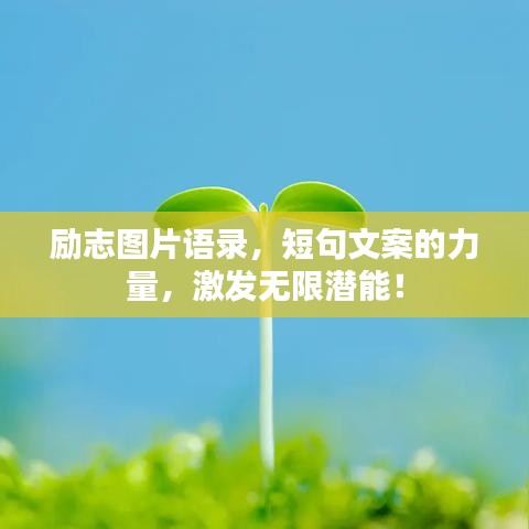 励志图片语录，短句文案的力量，激发无限潜能！