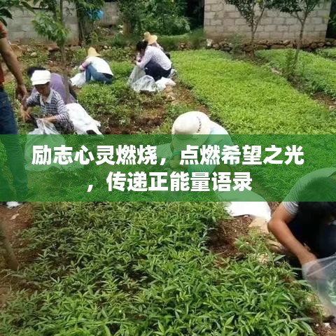 励志心灵燃烧，点燃希望之光，传递正能量语录