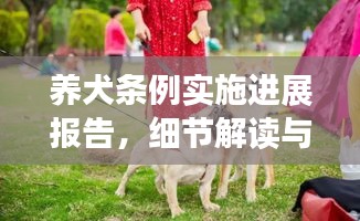 养犬条例实施进展报告，细节解读与成效分析