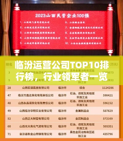 临汾运营公司TOP10排行榜，行业领军者一览