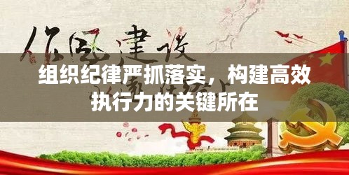 组织纪律严抓落实，构建高效执行力的关键所在