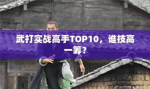 武打实战高手TOP10，谁技高一筹？