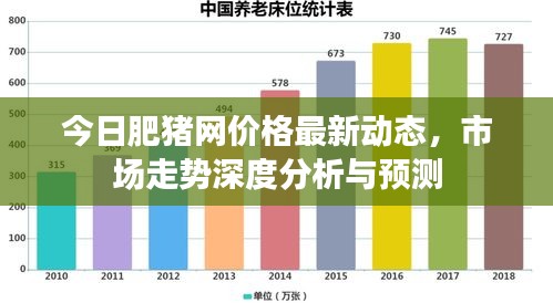 今日肥猪网价格最新动态，市场走势深度分析与预测