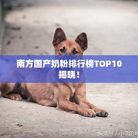 南方国产奶粉排行榜TOP10揭晓！