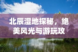 北辰湿地探秘，绝美风光与游玩攻略！