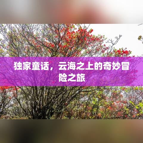 独家童话，云海之上的奇妙冒险之旅