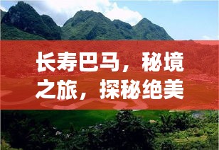 长寿巴马，秘境之旅，探秘绝美风光与养生胜地攻略