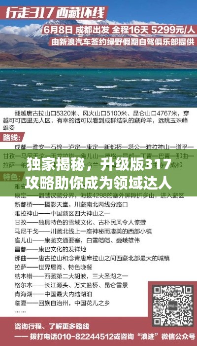 独家揭秘，升级版317攻略助你成为领域达人！