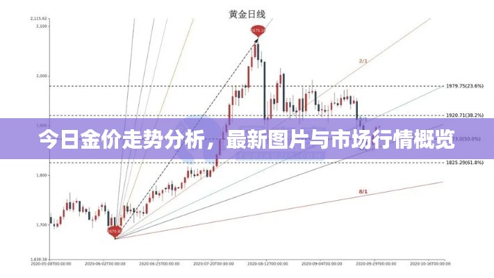 今日金价走势分析，最新图片与市场行情概览