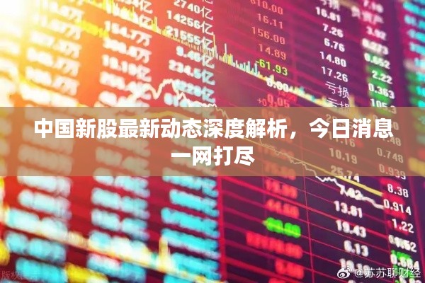 中国新股最新动态深度解析，今日消息一网打尽