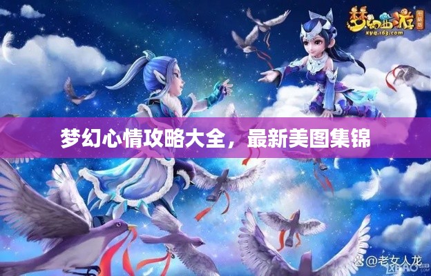 梦幻心情攻略大全，最新美图集锦