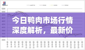 今日鸭肉市场行情深度解析，最新价格走势分析