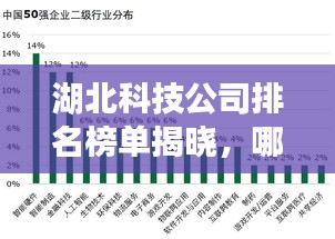 湖北科技公司排名榜单揭晓，哪家公司荣登榜首？