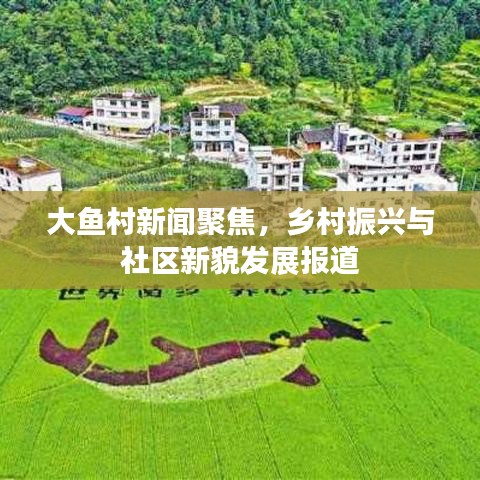 大鱼村新闻聚焦，乡村振兴与社区新貌发展报道