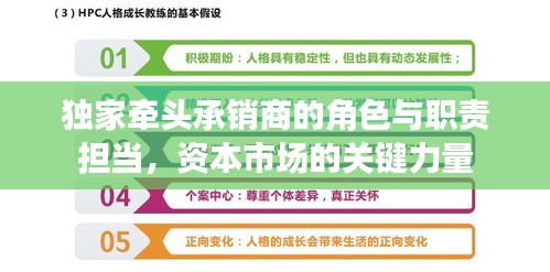 独家牵头承销商的角色与职责担当，资本市场的关键力量