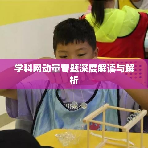 学科网动量专题深度解读与解析