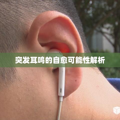 突发耳鸣的自愈可能性解析