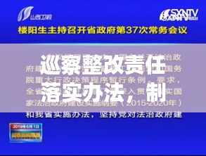 巡察整改责任落实办法，制度深化，监督执行的新路径