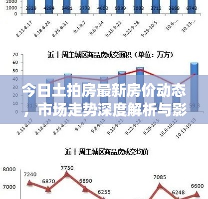 今日土拍房最新房价动态，市场走势深度解析与影响因素探讨