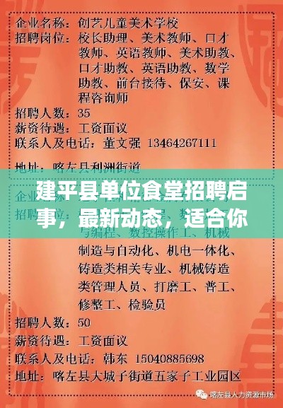 建平县单位食堂招聘启事，最新动态，适合你的工作岗位大揭秘