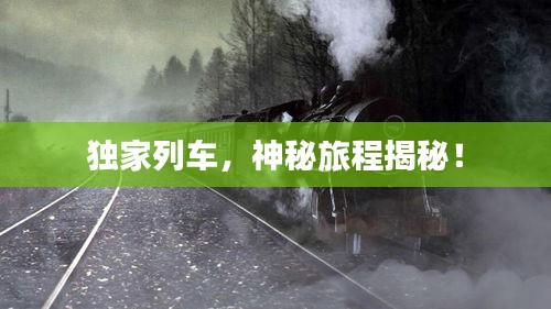 独家列车，神秘旅程揭秘！