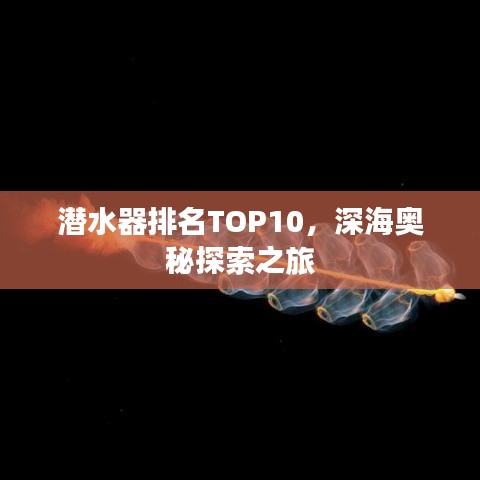 潜水器排名TOP10，深海奥秘探索之旅