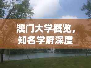 澳门大学概览，知名学府深度介绍