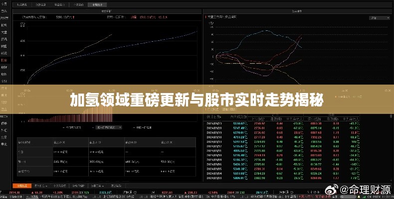 加氢领域重磅更新与股市实时走势揭秘