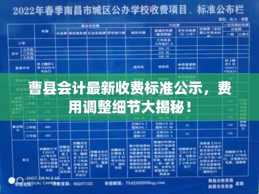 曹县会计最新收费标准公示，费用调整细节大揭秘！