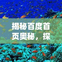 揭秘百度首页奥秘，探索搜索巨头核心魅力