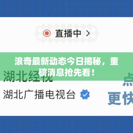 浪奇最新动态今日揭秘，重磅消息抢先看！