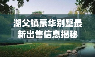 湖父镇豪华别墅最新出售信息揭秘