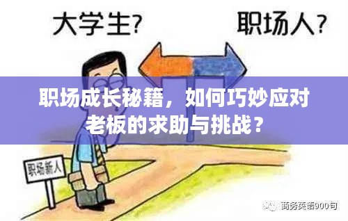 职场成长秘籍，如何巧妙应对老板的求助与挑战？