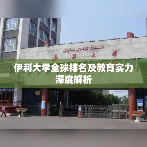 伊利大学全球排名及教育实力深度解析